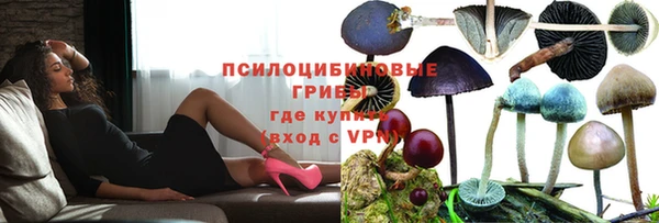 молекула духа Нефтекумск