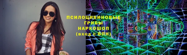 эйфоретик Нея