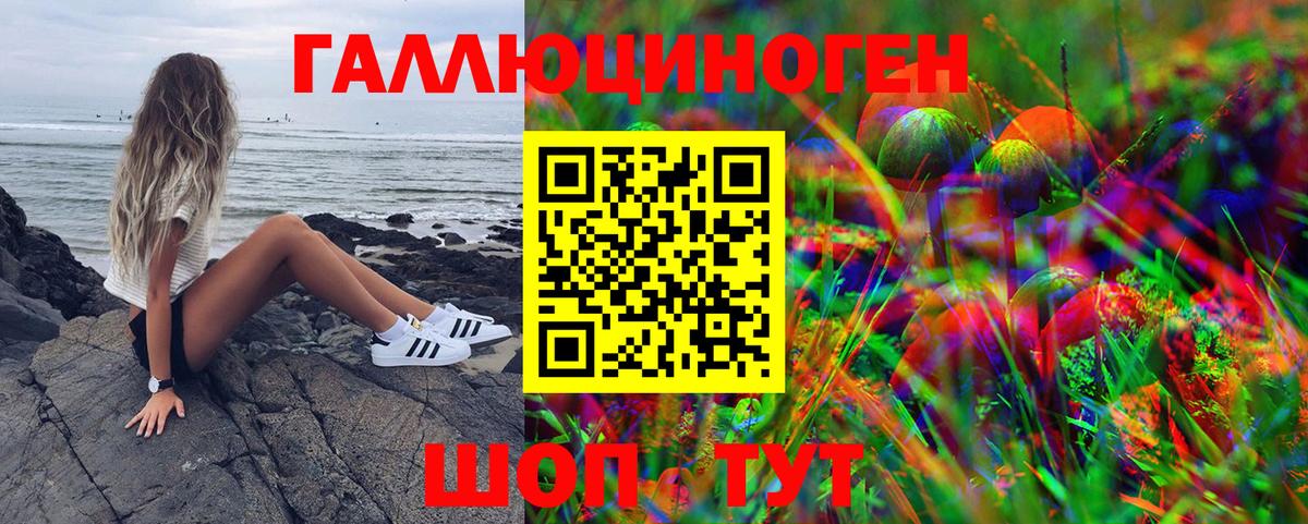 Псилоцибиновые грибы Psilocybine cubensis  Ялта  Галлюциногенные грибы MAGIC MUSHROOMS 