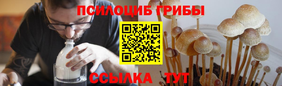 Галлюциногенные грибы Cubensis Ялта